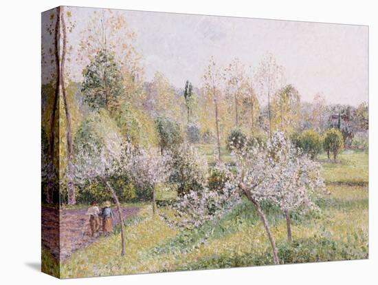 Apple Trees in Blossom, Eragny, 1895-Camille Pissarro-Stretched Canvas