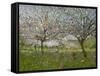 Apple Trees in Flower-Ernest Quost-Framed Stretched Canvas