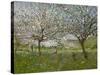 Apple Trees in Flower-Ernest Quost-Stretched Canvas