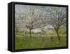 Apple Trees in Flower-Ernest Quost-Framed Stretched Canvas