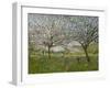 Apple Trees in Flower-Ernest Quost-Framed Giclee Print