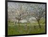 Apple Trees in Flower-Ernest Quost-Framed Giclee Print