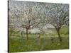 Apple Trees in Flower-Ernest Quost-Stretched Canvas