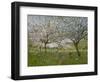 Apple Trees in Flower-Ernest Quost-Framed Giclee Print