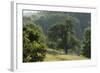 Apple Trees in Meadow, Roudenhaff, Mullerthal, Luxembourg, May 2009-Tønning-Framed Photographic Print