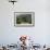 Apple Trees in Meadow, Roudenhaff, Mullerthal, Luxembourg, May 2009-Tønning-Framed Photographic Print displayed on a wall