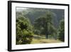 Apple Trees in Meadow, Roudenhaff, Mullerthal, Luxembourg, May 2009-Tønning-Framed Photographic Print