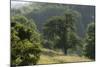 Apple Trees in Meadow, Roudenhaff, Mullerthal, Luxembourg, May 2009-Tønning-Mounted Photographic Print