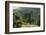 Apple Trees in Meadow, Roudenhaff, Mullerthal, Luxembourg, May 2009-Tønning-Framed Photographic Print