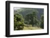 Apple Trees in Meadow, Roudenhaff, Mullerthal, Luxembourg, May 2009-Tønning-Framed Photographic Print