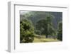 Apple Trees in Meadow, Roudenhaff, Mullerthal, Luxembourg, May 2009-Tønning-Framed Photographic Print