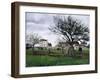 Apple Trees in Pontoise-Camille Pissarro-Framed Giclee Print