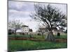 Apple Trees in Pontoise-Camille Pissarro-Mounted Giclee Print