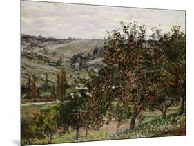 Apple Trees Near Vetheuil-Claude Monet-Mounted Giclee Print