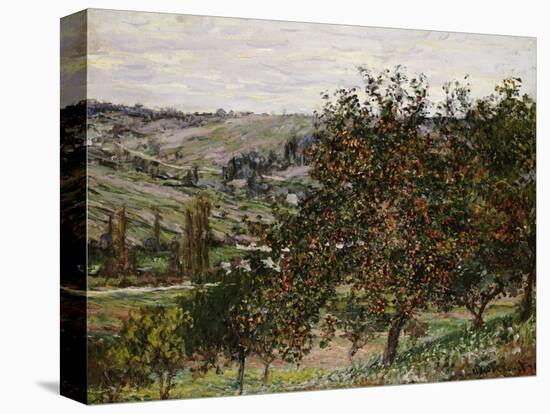 Apple Trees Near Vetheuil-Claude Monet-Stretched Canvas