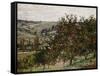 Apple Trees Near Vetheuil-Claude Monet-Framed Stretched Canvas