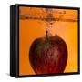 Apple Underwater-Gordon Semmens-Framed Stretched Canvas