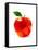 Apple-Enrico Varrasso-Framed Stretched Canvas