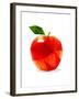 Apple-Enrico Varrasso-Framed Art Print