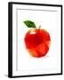 Apple-Enrico Varrasso-Framed Art Print