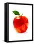 Apple-Enrico Varrasso-Framed Stretched Canvas