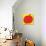 Apple-Philip Sheffield-Giclee Print displayed on a wall