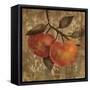 Apple-Silvia Vassileva-Framed Stretched Canvas