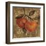 Apple-Silvia Vassileva-Framed Art Print