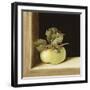 Apple-Jenny Barron-Framed Giclee Print