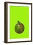 Apple-Sarah Thompson-Engels-Framed Giclee Print