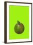 Apple-Sarah Thompson-Engels-Framed Giclee Print