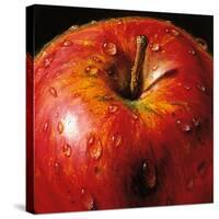 Apple-null-Stretched Canvas