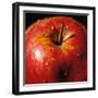 Apple-null-Framed Art Print