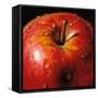 Apple-null-Framed Stretched Canvas