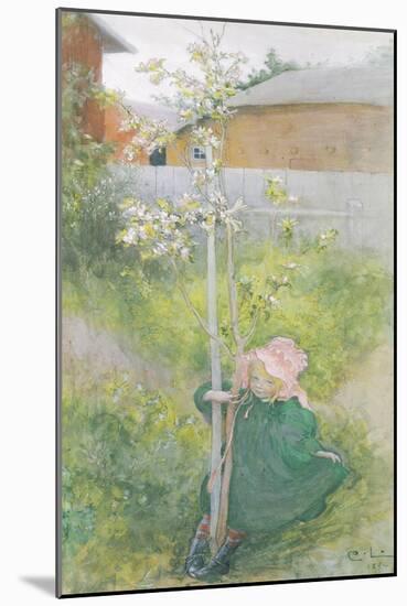 Appleblossom, 1894-Carl Larsson-Mounted Giclee Print