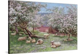 Appleblossom-William Biscombe Gardner-Stretched Canvas