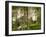 Appleby Castle, Westmorland, Home of Baronet Tufton, C1880-Benjamin Fawcett-Framed Giclee Print