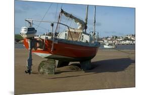 Appledore, North Devon, England, United Kingdom-Charles Bowman-Mounted Photographic Print