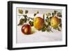 Apples and a Bit of Foliage-Moettler-Framed Art Print