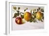 Apples and a Bit of Foliage-Moettler-Framed Art Print