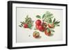 Apples and a Rose-Carlos Von Riefel-Framed Art Print