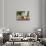 Apples and apple juice, Saargau, Rhineland-Palatinate, Germany, Europe-Hans-Peter Merten-Photographic Print displayed on a wall