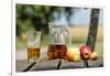 Apples and apple juice, Saargau, Rhineland-Palatinate, Germany, Europe-Hans-Peter Merten-Framed Photographic Print