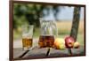 Apples and apple juice, Saargau, Rhineland-Palatinate, Germany, Europe-Hans-Peter Merten-Framed Photographic Print