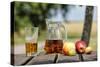 Apples and apple juice, Saargau, Rhineland-Palatinate, Germany, Europe-Hans-Peter Merten-Stretched Canvas