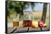 Apples and apple juice, Saargau, Rhineland-Palatinate, Germany, Europe-Hans-Peter Merten-Framed Stretched Canvas