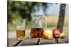 Apples and apple juice, Saargau, Rhineland-Palatinate, Germany, Europe-Hans-Peter Merten-Stretched Canvas