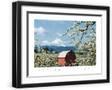 Black Frame