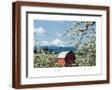 Brown Frame