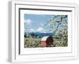 White Frame